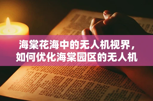 海棠花海中的无人机视界，如何优化海棠园区的无人机自主导航？