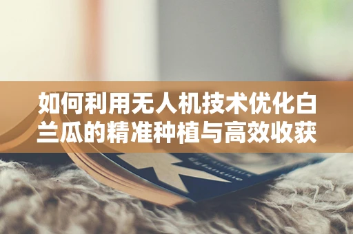 如何利用无人机技术优化白兰瓜的精准种植与高效收获？