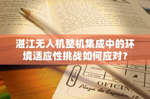 湛江无人机整机集成中的环境适应性挑战如何应对？