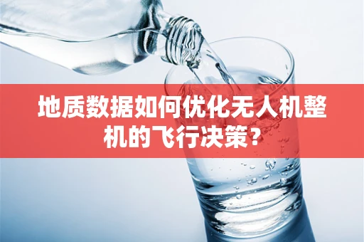 地质数据如何优化无人机整机的飞行决策？