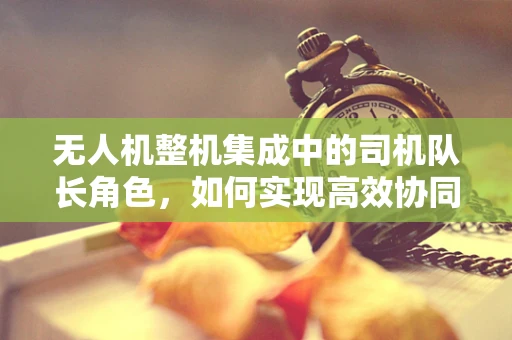 无人机整机集成中的司机队长角色，如何实现高效协同与安全飞行？