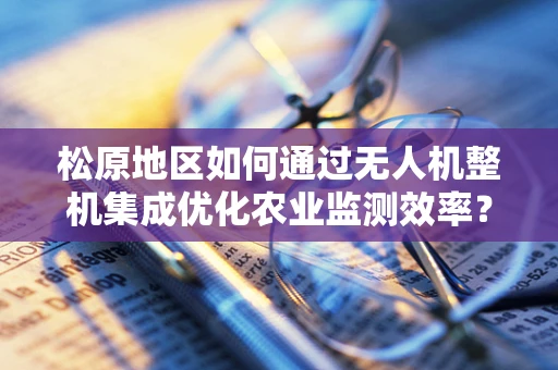 松原地区如何通过无人机整机集成优化农业监测效率？