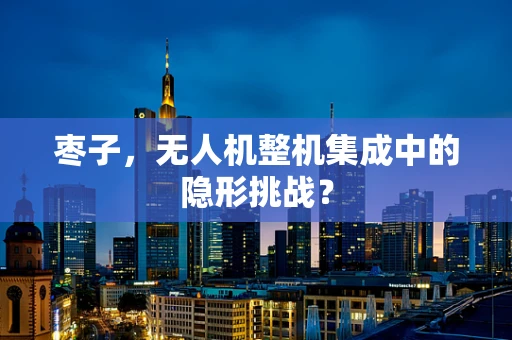 枣子，无人机整机集成中的隐形挑战？