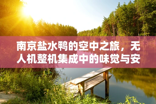 南京盐水鸭的空中之旅，无人机整机集成中的味觉与安全平衡