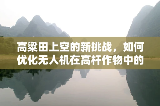 高粱田上空的新挑战，如何优化无人机在高杆作物中的飞行与作业集成？