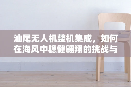 汕尾无人机整机集成，如何在海风中稳健翱翔的挑战与对策？