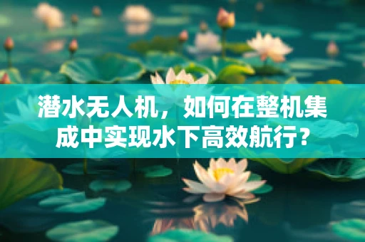 潜水无人机，如何在整机集成中实现水下高效航行？
