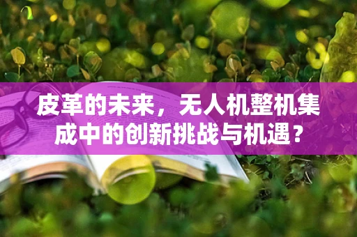 皮革的未来，无人机整机集成中的创新挑战与机遇？