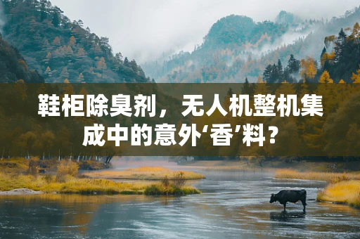 鞋柜除臭剂，无人机整机集成中的意外‘香’料？