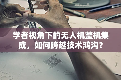 学者视角下的无人机整机集成，如何跨越技术鸿沟？