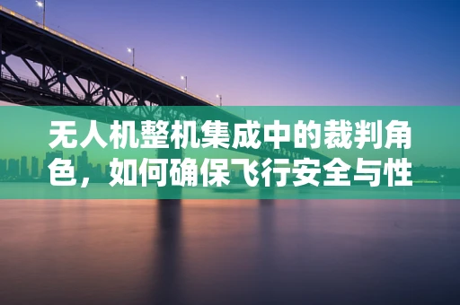 无人机整机集成中的裁判角色，如何确保飞行安全与性能的精准平衡？
