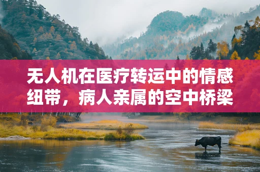 无人机在医疗转运中的情感纽带，病人亲属的空中桥梁