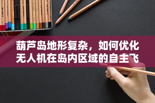 葫芦岛地形复杂，如何优化无人机在岛内区域的自主飞行路径？