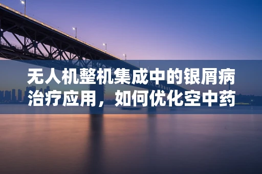 无人机整机集成中的银屑病治疗应用，如何优化空中药物递送系统？
