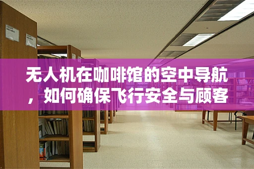 无人机在咖啡馆的空中导航，如何确保飞行安全与顾客体验的和谐共存？