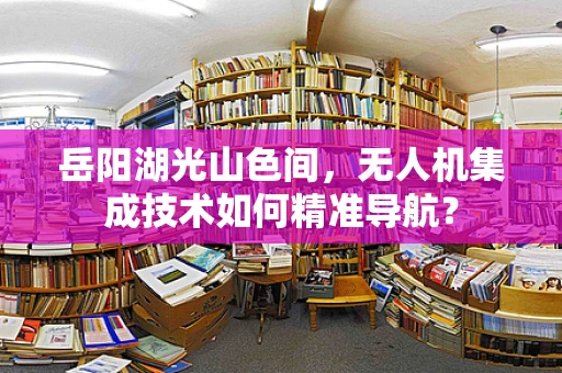 岳阳湖光山色间，无人机集成技术如何精准导航？