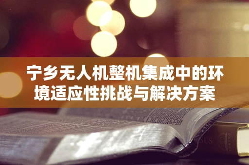 宁乡无人机整机集成中的环境适应性挑战与解决方案
