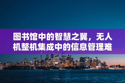 图书馆中的智慧之翼，无人机整机集成中的信息管理难题