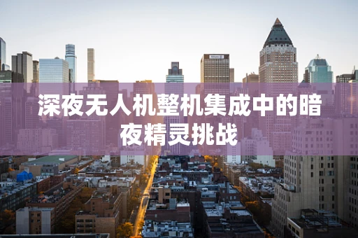 深夜无人机整机集成中的暗夜精灵挑战