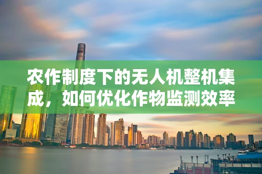 农作制度下的无人机整机集成，如何优化作物监测效率？