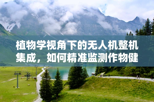 植物学视角下的无人机整机集成，如何精准监测作物健康？