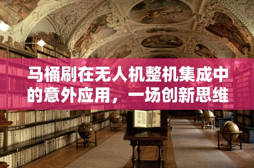 马桶刷在无人机整机集成中的意外应用，一场创新思维的碰撞