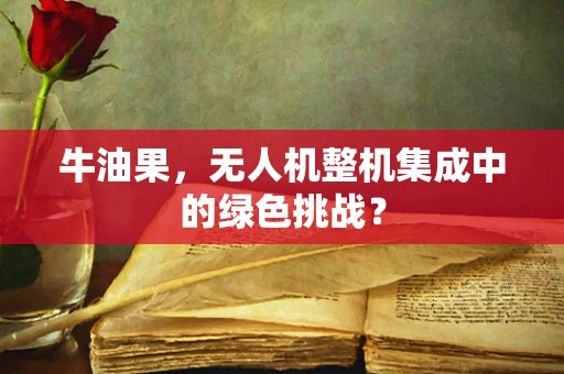 牛油果，无人机整机集成中的绿色挑战？