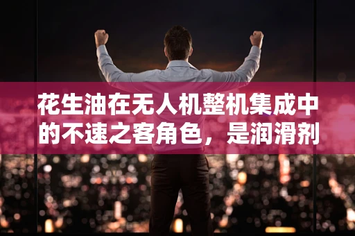 花生油在无人机整机集成中的不速之客角色，是润滑剂还是隐患？