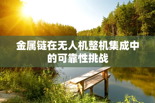 金属链在无人机整机集成中的可靠性挑战