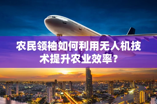 农民领袖如何利用无人机技术提升农业效率？