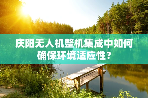 庆阳无人机整机集成中如何确保环境适应性？