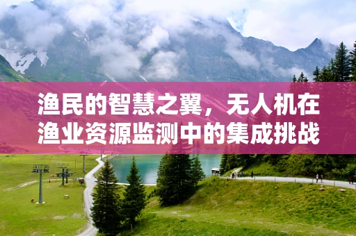 渔民的智慧之翼，无人机在渔业资源监测中的集成挑战