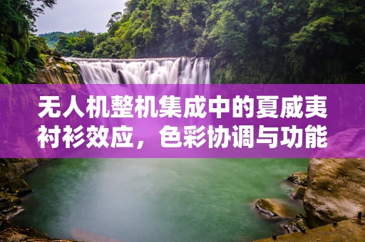 无人机整机集成中的夏威夷衬衫效应，色彩协调与功能性的平衡挑战
