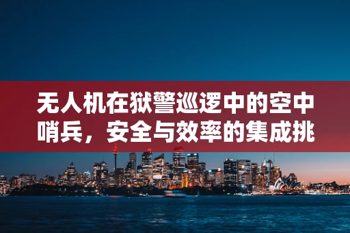 无人机在狱警巡逻中的空中哨兵，安全与效率的集成挑战