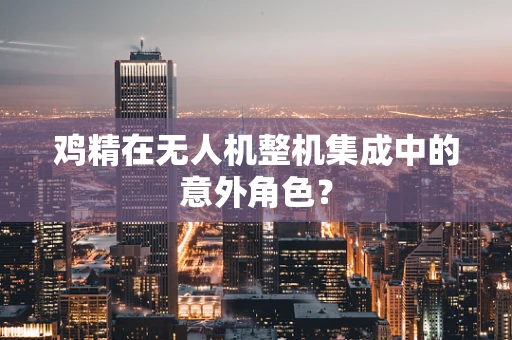 鸡精在无人机整机集成中的意外角色？