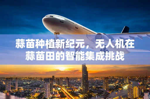 蒜苗种植新纪元，无人机在蒜苗田的智能集成挑战