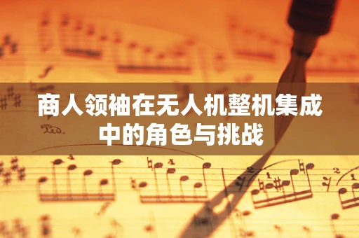 商人领袖在无人机整机集成中的角色与挑战