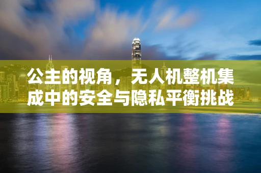 公主的视角，无人机整机集成中的安全与隐私平衡挑战