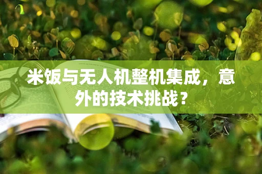 米饭与无人机整机集成，意外的技术挑战？