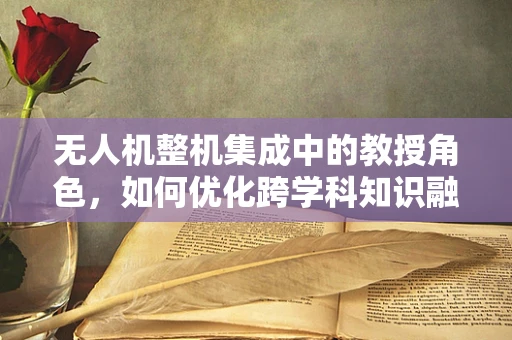 无人机整机集成中的教授角色，如何优化跨学科知识融合？