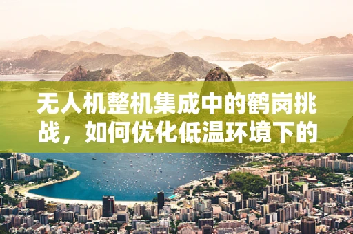 无人机整机集成中的鹤岗挑战，如何优化低温环境下的飞行稳定性？