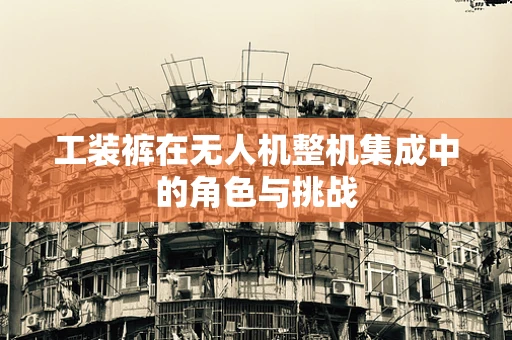 工装裤在无人机整机集成中的角色与挑战