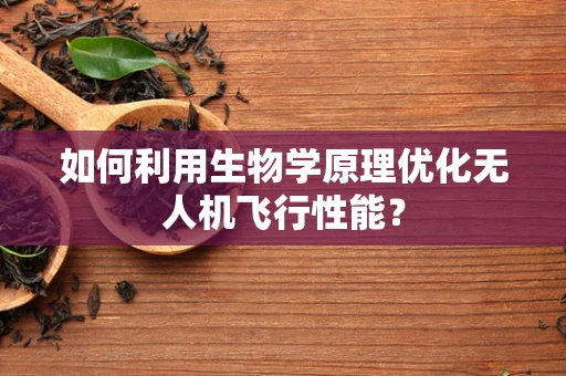 如何利用生物学原理优化无人机飞行性能？
