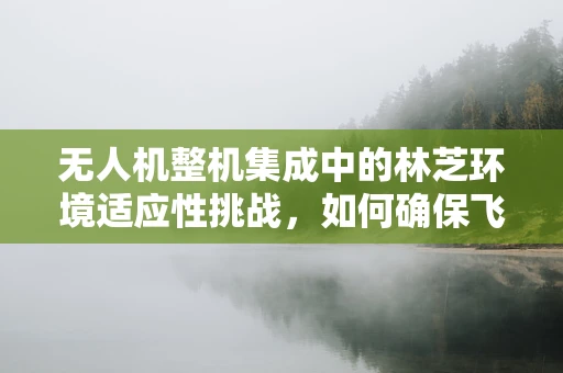无人机整机集成中的林芝环境适应性挑战，如何确保飞行稳定与安全？