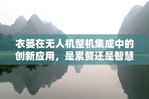 衣篓在无人机整机集成中的创新应用，是累赘还是智慧之举？