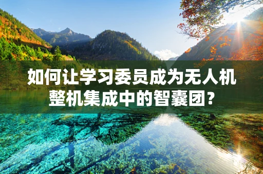 如何让学习委员成为无人机整机集成中的智囊团？