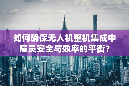 如何确保无人机整机集成中雇员安全与效率的平衡？