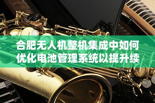 合肥无人机整机集成中如何优化电池管理系统以提升续航能力？