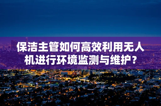 保洁主管如何高效利用无人机进行环境监测与维护？