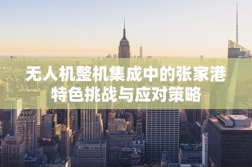 无人机整机集成中的张家港特色挑战与应对策略